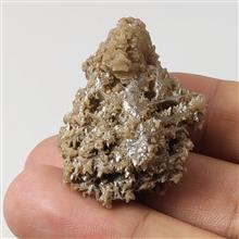 راف