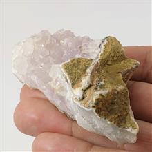 راف