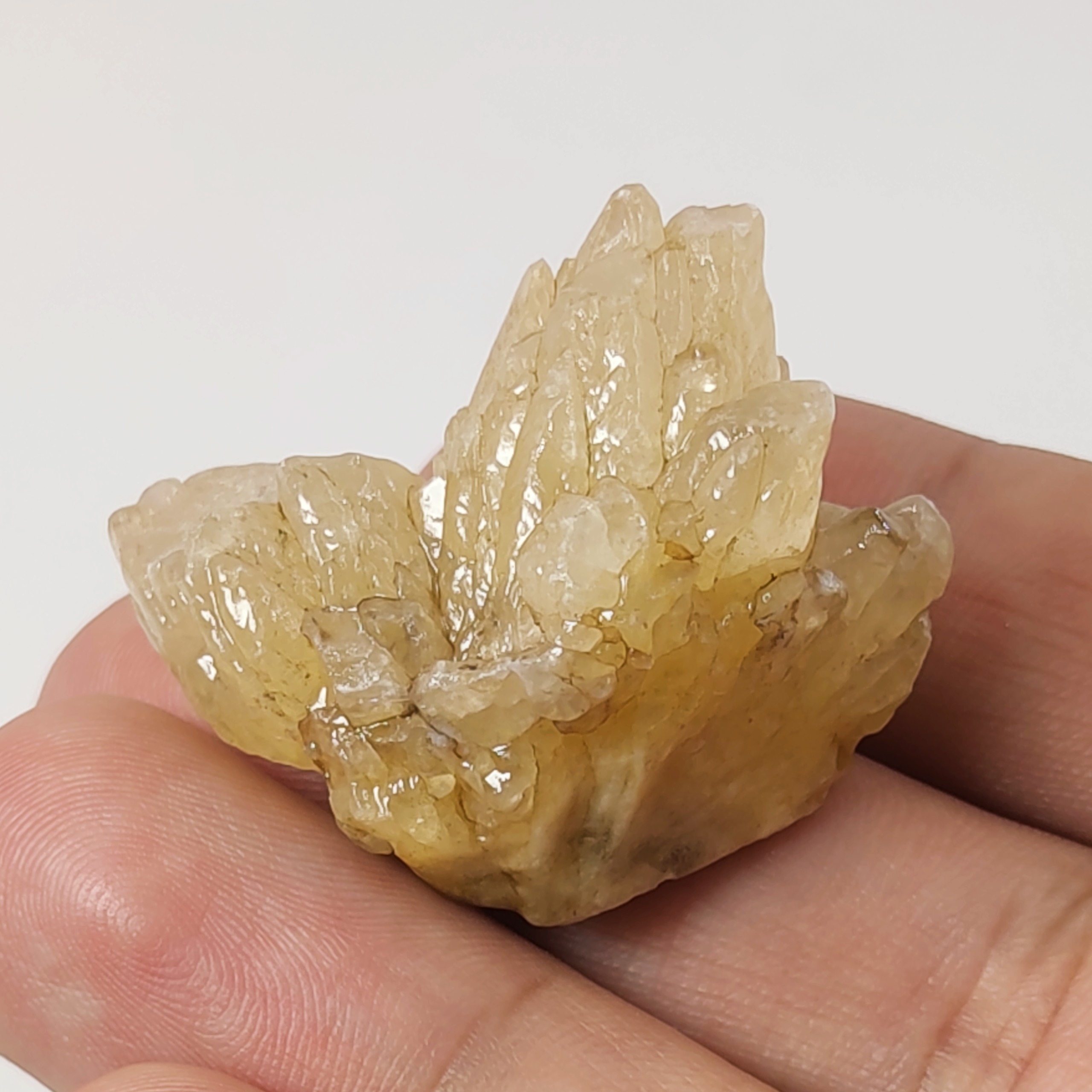 راف سنگ کلسیت معدنی و طبیعی