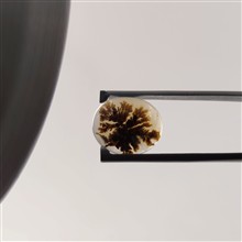 نگین
