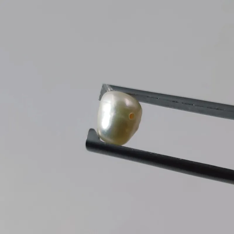 مروارید طبیعی پرورشی رنگ سفید، مناسب زیورآلات