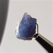 راف