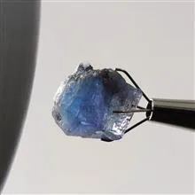 راف