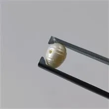 مروارید