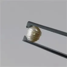 مروارید