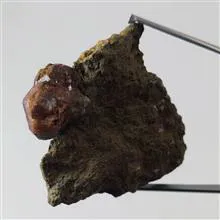 راف