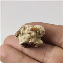راف