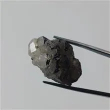 راف