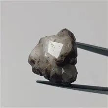 راف