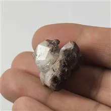 راف