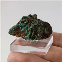 راف