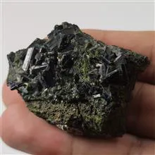 راف