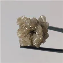 راف