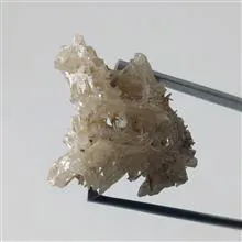 راف