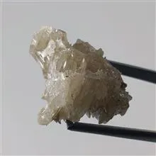 راف