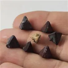 پک