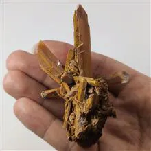 کلاستر