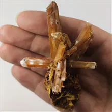 کلاستر