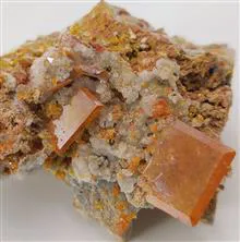 راف