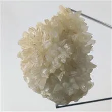 راف