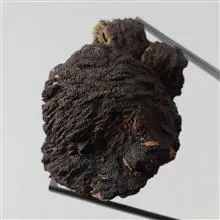 راف