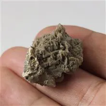 راف