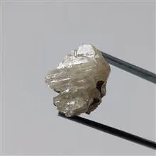 راف