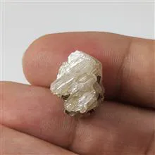 راف