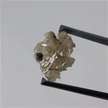 راف