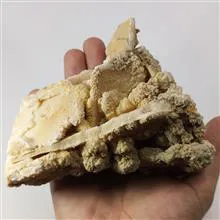 راف