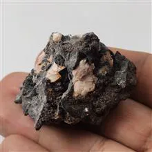 راف