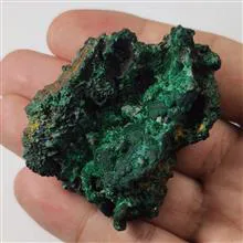 راف