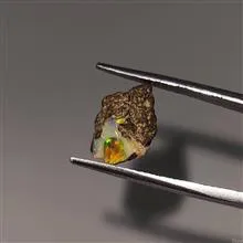 راف