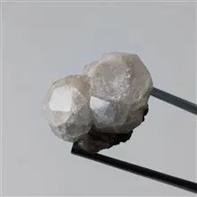 راف