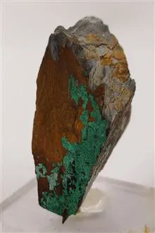 راف