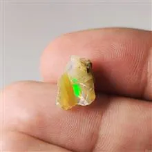 راف
