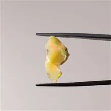 راف