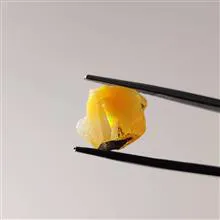 راف