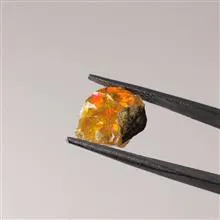 راف