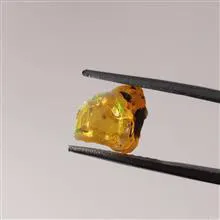 راف