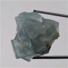 راف