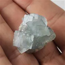 راف