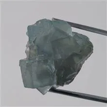 راف