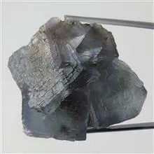 راف
