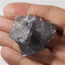 راف