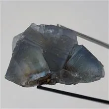 راف