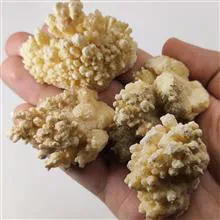 مجموعه