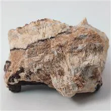 راف