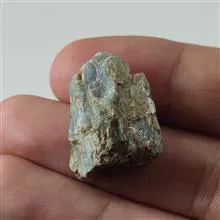 راف