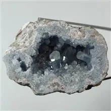 ژئود